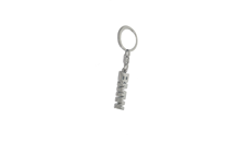 BMW Keyring