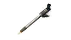 BOSCH Injector 0445110955  